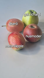 Ladda upp bild till gallerivisning, Schampotvål kamomill och äppelmust